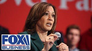 Democrats are reportedly panicking over Harris as election nears