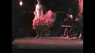 FLAMENCO AL JAMBOREE en Plaça Reial