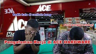 Pengalaman 1 tahun di ACE HARDWARE !!