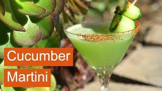 How to make the best CUCUMBER MARTINI - easy vodka recipe - Cucumber cocktail!