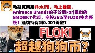 马斯克弟弟Floki币，马上暴涨，Animoca Brands的子公司Forj推出的$MONKY代币，空投35%至FLOKI生态系统？继续持有到0.001美金？马斯克弟弟发行币|Floki币行情分析！