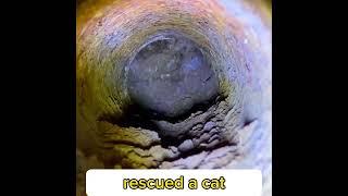 Man carefully rescues a cat that was stuck in a drainpipe!