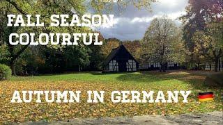 Autumn in Germany | Fall season | One of the best Earth’s season | #autumn @justherenthere1988