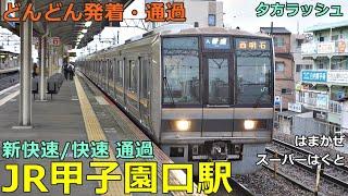 JR甲子園口駅 2どんどん電車が発着・通過！●西明石行き、京都行き、松井山手行き、新快速、快速、特急 スーパーはくと・はまかぜ 等／夕方ラッシュ 神戸線【JR西日本】