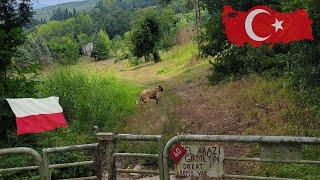 Polish Village in Turkey?! (Polonezköy, Türkiye)  