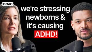 Child Attachment Expert: We're Stressing Newborns & It's Causing ADHD! Hidden Dangers Of Daycare!