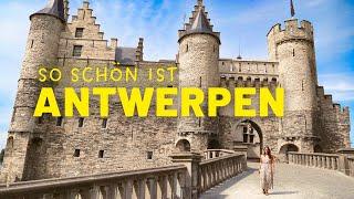 Belgische Fritten & eine wunderschöne Altstadt - das ist Antwerpen! Vanlife in Belgien | VLOG #84