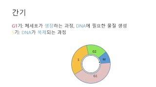 쉽게 이해하는 세포분열