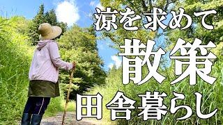 【山の散策】涼しい山道を散策 夏バテ対策で紫蘇ジュース作り 保護猫の誕生日決め  自然豊かな山奥暮らしの日々｜村暮らし｜移住｜料理【標高800mの田舎暮らし】