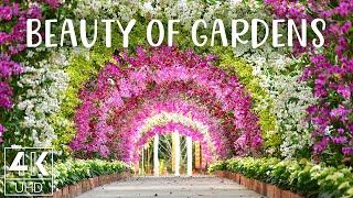 Most Beautiful Gardens In The World - 4K TV Wallpapers to Make any Space Special (NO SOUND)