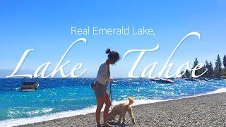 [ENG SUB][LAKE TAHOE] 4K / 미국여행 추천지 타호 호수 캠핑 - 네바다와 캘리포니아를 가로지르는 미국 최대의 알파인 호수/산불로 급마무리한 캠핑