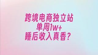 单周1w+|这就是你们说的【副业睡后收入真香】？跨境电商独立站真实个卖驴嫂云周会W01+02