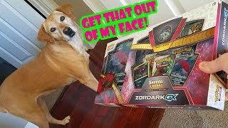 MY BEST ZOROARK GX SHINING LEGENDS BOX OPENING - 3 ULTRA RARE PULLS!