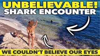  GOULET BLUFF AND EAGLE BLUFF, SHARK BAY | SO MANY SHARKS!! | DO NOT SWIM HERE!! |  TRAVEL VLOG