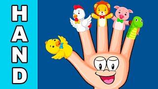  Las partes de la mano en inglés | Parts of the hand    