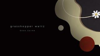 Enzo Corne - grasshopper waltz (Soft Version)