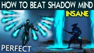 Shadow Fight 3. Defeat Shadow Mind with PERFECT on INSANE. Tactics and Best Shadow Abilities.