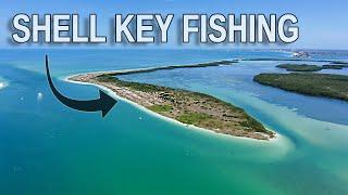 Fishing Shell Key: Tampa Bay