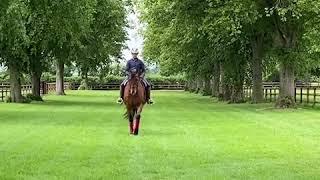 Straightness And Centre Lines with Levi Hunt
