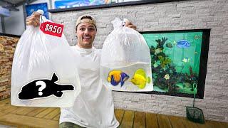 FISH SHOPPING SPREE for My REEF POND!!