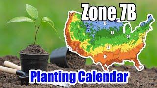 Zone 7b Planting Calendar: Best Times to Grow Your Garden