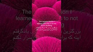 بزرگترین درسی که امسال یاد گرفتم...