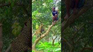 Tiger attack on tree #4 #vfx #videos #shorts #viralvfx #cheetah #tiger