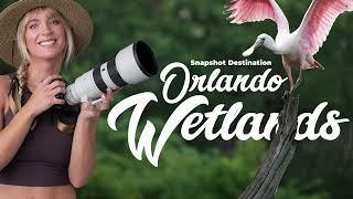 ORLANDO WETLANDS BIRD PHOTOGRAPHY (Sony A7 IV 70-200mm 2.8 GM OSS II)