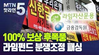 [MTN deep] 라임펀드 투자자 '분쟁조정 패싱'…꼬리에 꼬리무는 소송전 / 머니투데이방송 (뉴스)