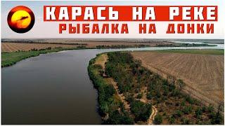 Карась на реке / Рыбалка на донки летом