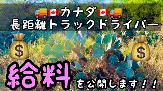 【保存版】カナダ長距離トラックドライバーの給料公開します！！　北米トラックドライバーゴートさん