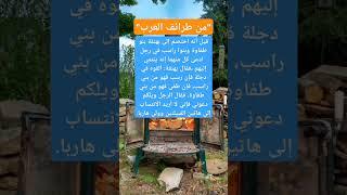 قصة الانتساب المستحيل بين بني راسب وبني الطفاوة#نوادر_العرب #طرائف_العرب