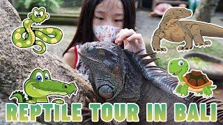 VISITING THE BIGGEST REPTILE PARK IN BALI