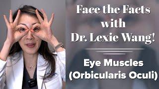 Eye Muscles (Orbicularis Oculi) - Face the Facts with Dr. Lexie Wang | West End Plastic Surgery