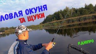 ловля окуня та щуки#спінінг#окунь#щука