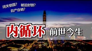 “内循环”前世今生  | What is China's Neixunhuan/Internal Circulation? [Eng Sub]