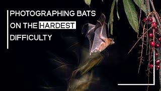 Overcomplicating Photography - Fruit Bats