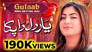 Yar Dil Da Paka |  Gulaab | Official Music Video | Tp Gold