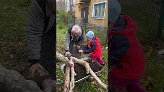 В деревне Каждый занят своим делом