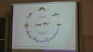 GCI2016: Mini-course 1: Epidemiological Modeling - Lecture 4: Abba Gumel