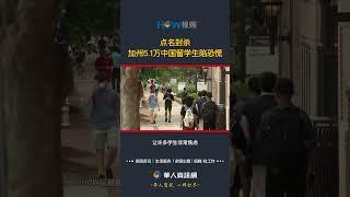 点名封杀 加州5.1万中国留学生陷恐慌#中国留学生#学生签证#加州
