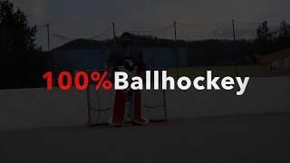 MP Carbon fibre ball hockey goalie pads