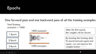 Epoch, Batch, Batch Size, & Iterations