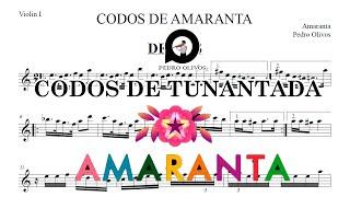 Amaranta Mix Tunantada - Codos