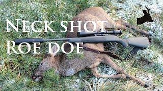 Roestalker: Neck shot roe doe.