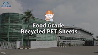 Recycled PET Sheets - PET Plastic Sheet for Thermoforming - PET Plastic Sheet Roll | Intco Plastic