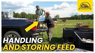 Handling Tons of Pig Feed on a Small Farm: The Savings Astounded Me!