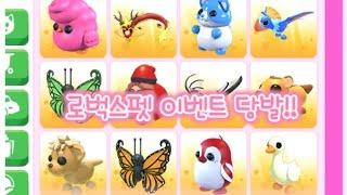 로벅스펫 이벤트 당발합니다~~~~