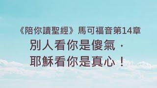 別人看你是傻氣，耶穌看你是真心！《馬可福音14》｜陪你讀聖經2