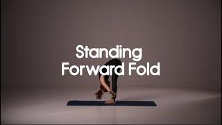 Standing Forward Fold - Stretch Hamstrings and Lower Back